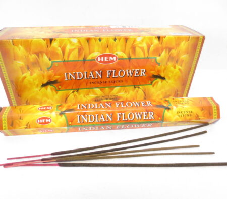 Indische Blume